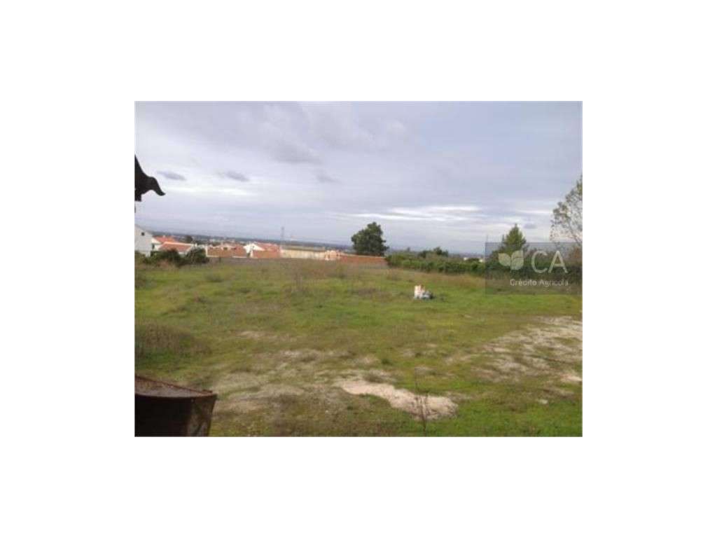QUINTA DAS FAÇALVAS - TERRENO - Grande imagem: 4/5