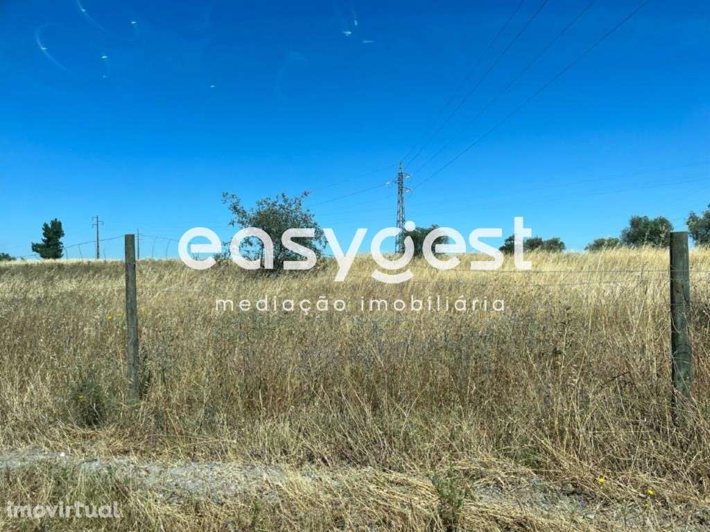 Terreno com viabilidade de construção junto a estrada alcatroada - Grande imagem: 3/13