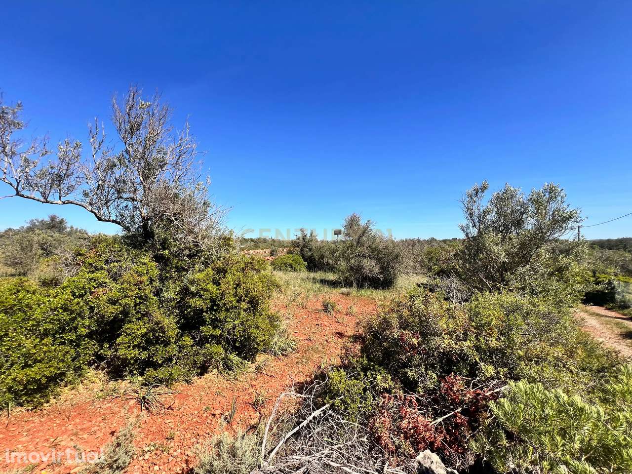 Terreno rústico com 7360m2 I Entre São Bartolomeu de Messines e Padern - Grande imagem: 2/5
