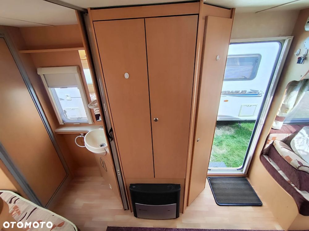 SWIFT Abbey Freestyle - 33