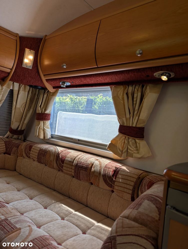 Avondale Golden Avocet - 7