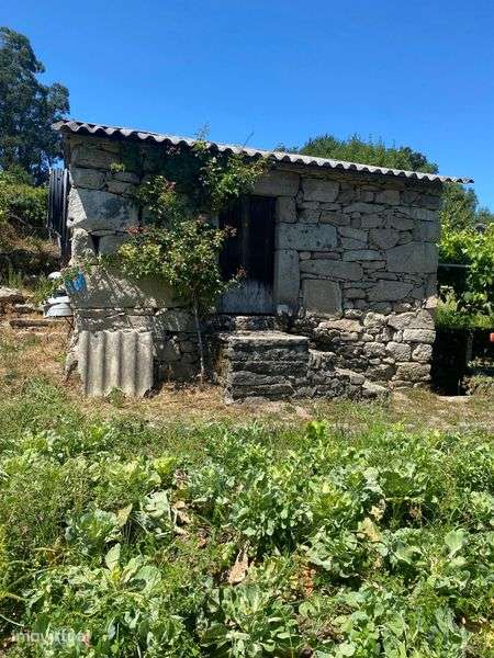 Terreno com casa para reconstruir, garagem e espigueiro - Grande imagem: 2/4
