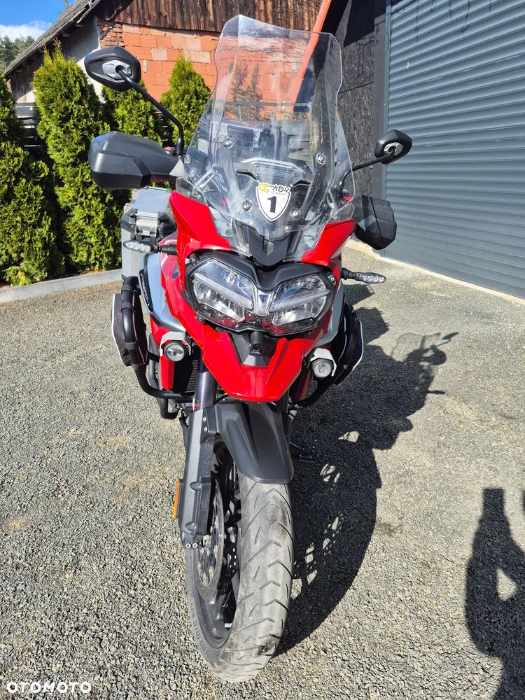 Triumph Tiger - 2