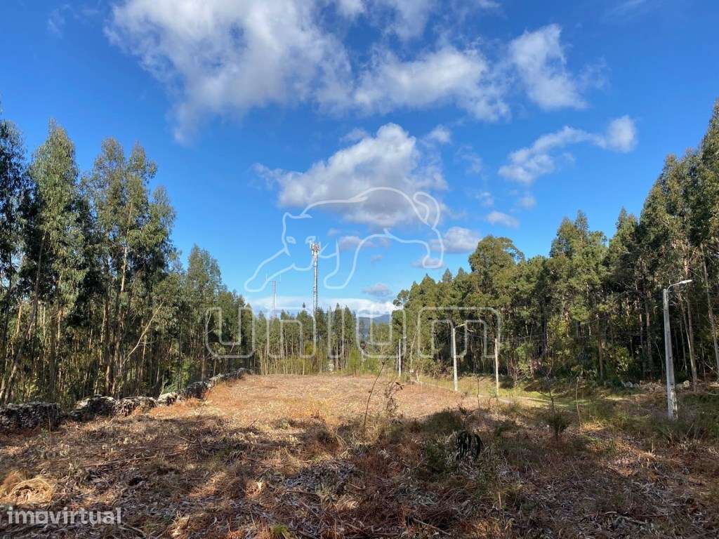 Terreno para construção perto de Stº Antão - Caminha - Grande imagem: 3/9