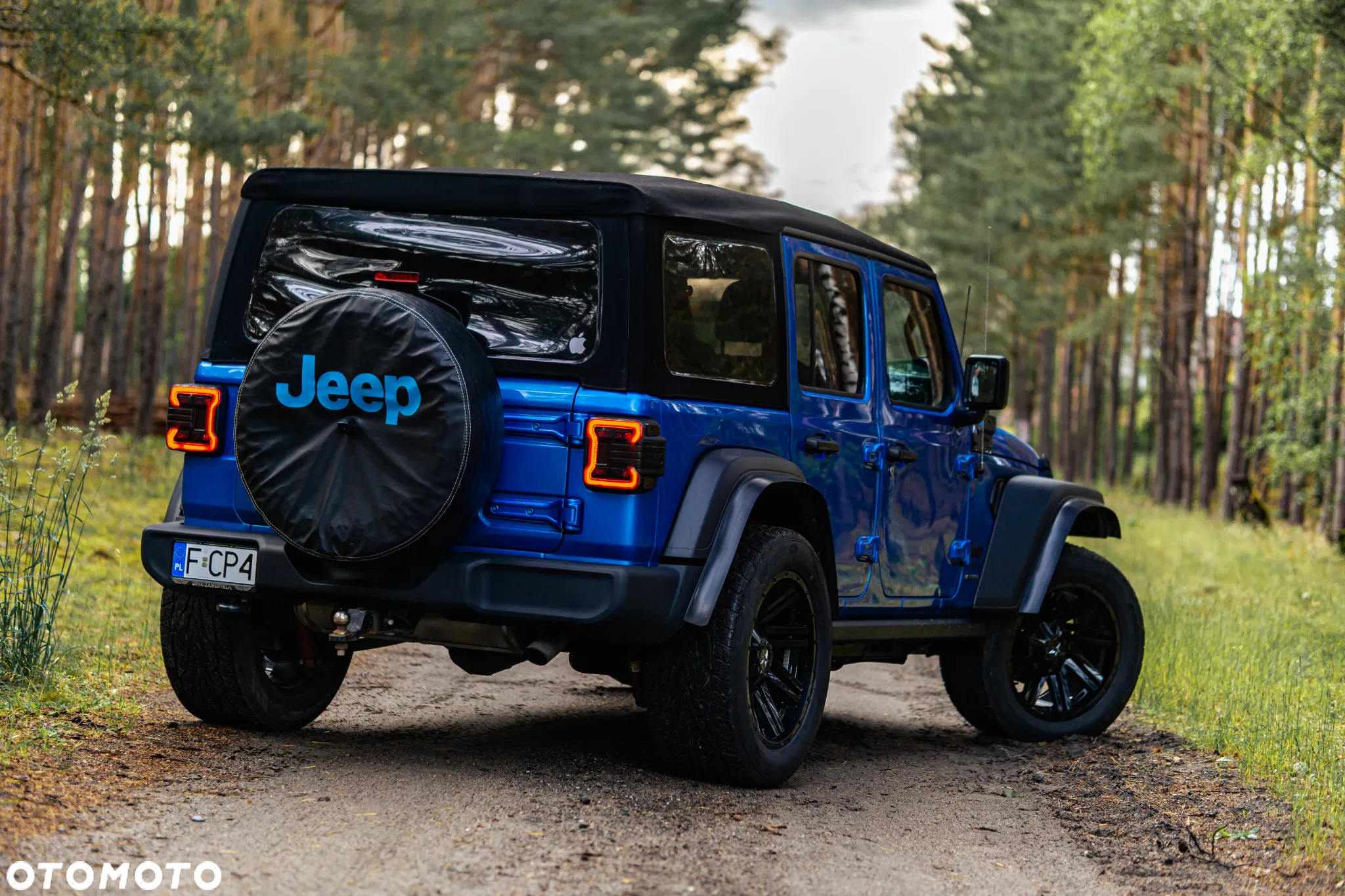 Jeep Wrangler - 20