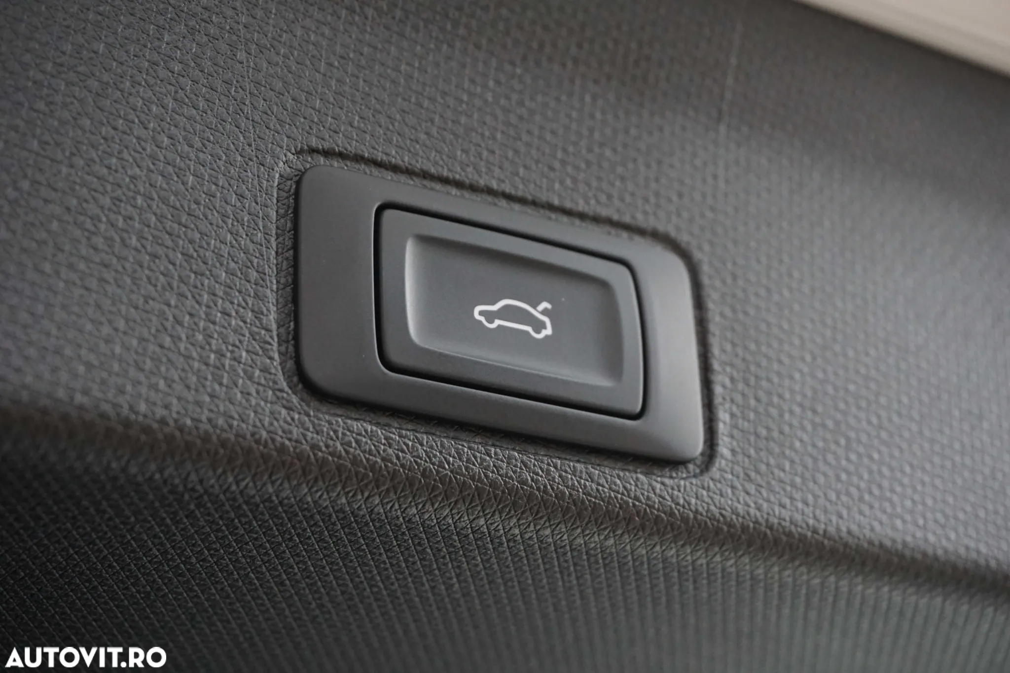Cupra Terramar - 29
