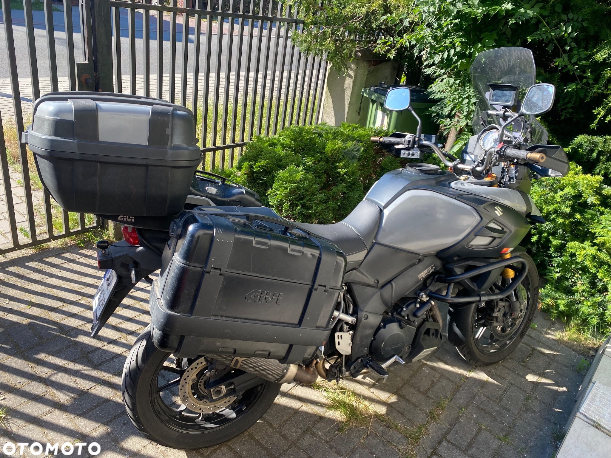 Suzuki DL