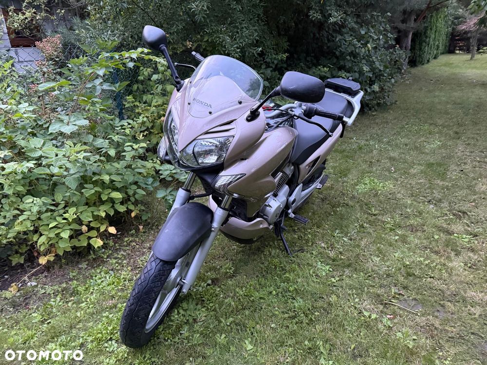 Honda Varadero - 4