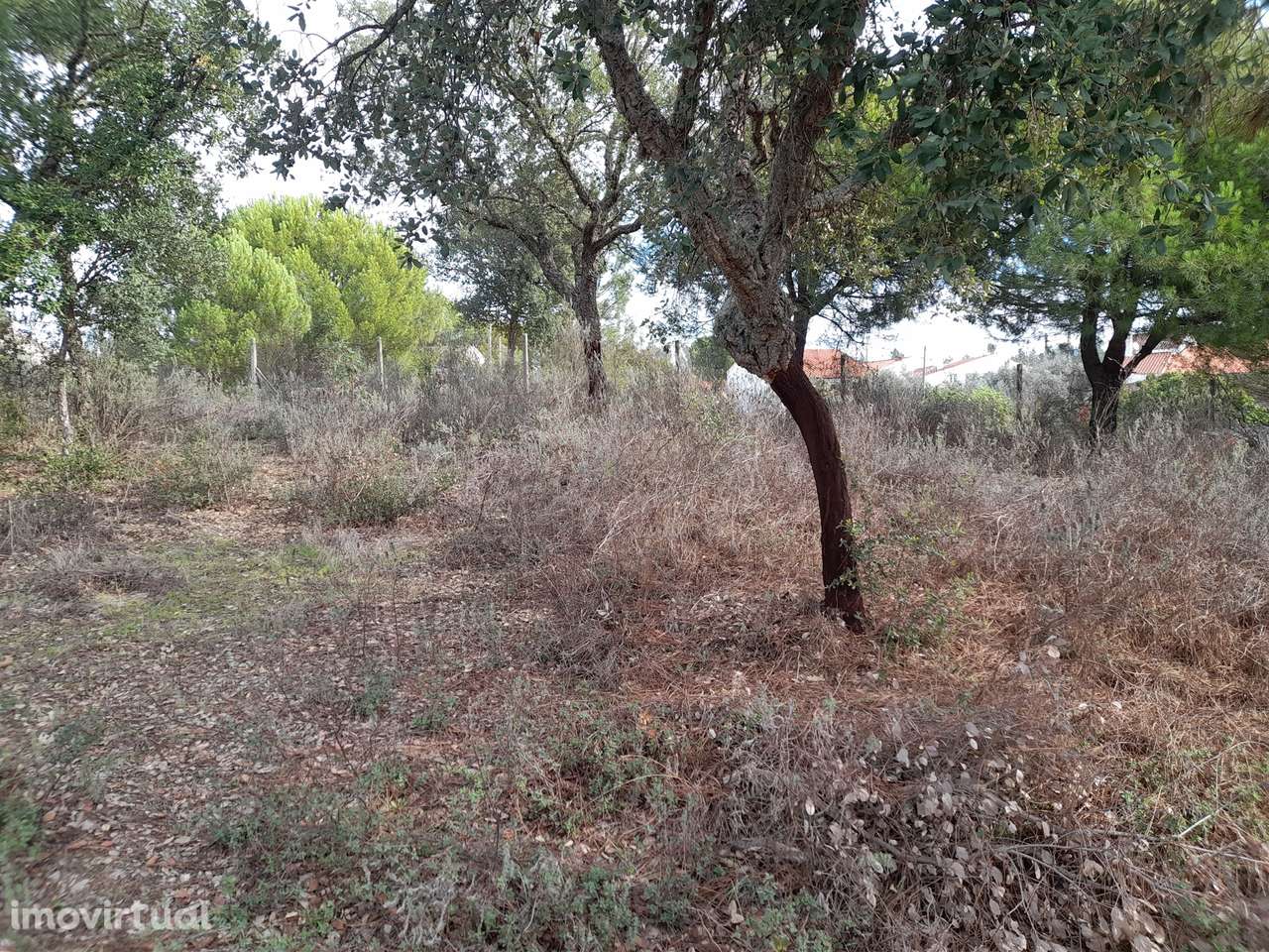 Terreno Rústico T0 Venda em Sarnadas de Ródão,Vila Velha de Rodão - Grande imagem: 5/14
