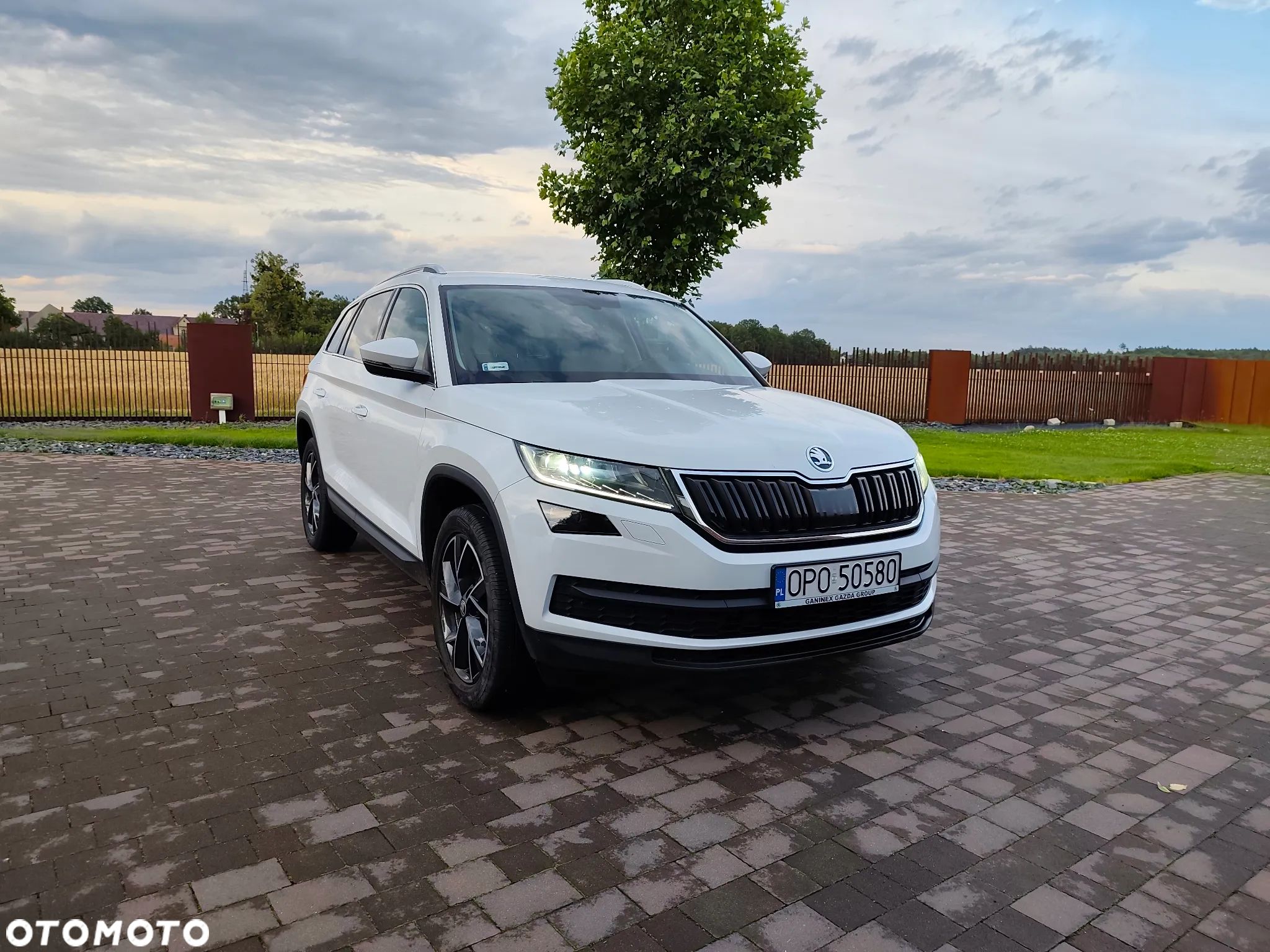 Skoda Kodiaq 2.0 TDI 4x4 Business DSG - 1