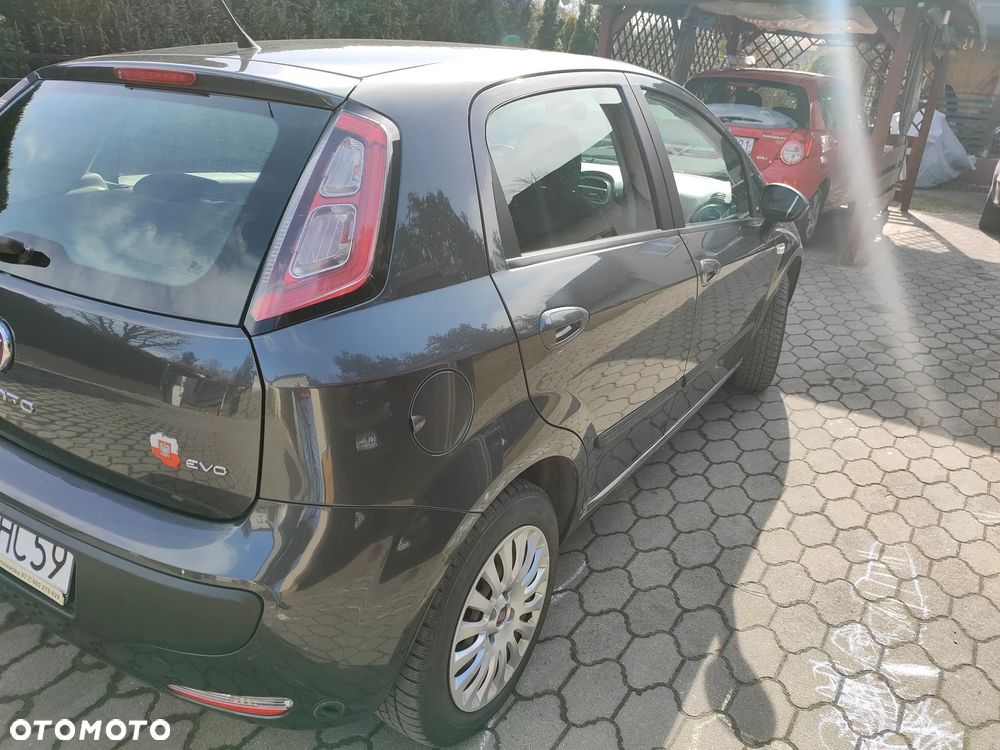 Fiat Punto - 10