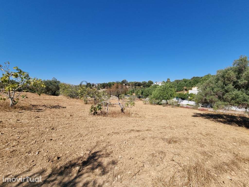 Terreno rústico com 14.400m2 em Santa Bárbara de Nexe - Faro - Grande imagem: 3/9