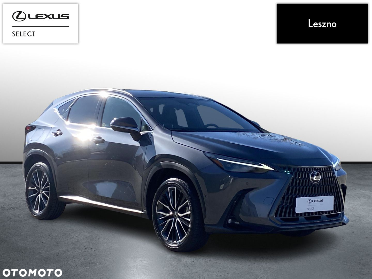 Lexus NX - 5