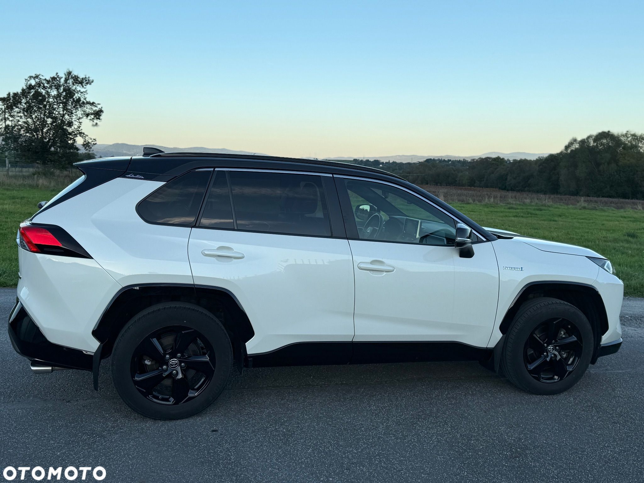 Toyota RAV4 2.5 Hybrid Selection 4x2 - 1