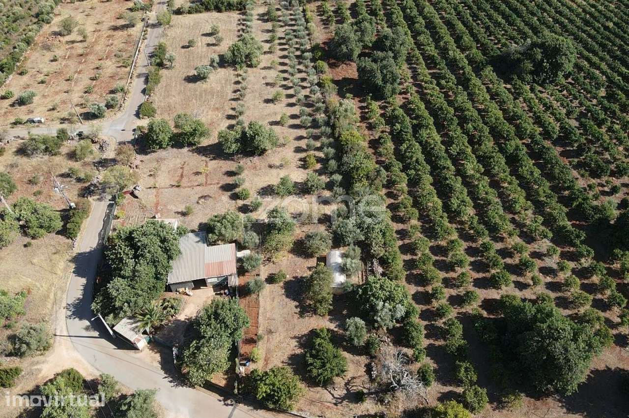Terreno Rústico em Carrasqueiro, Paderne com 4.320m2 - Grande imagem: 2/18