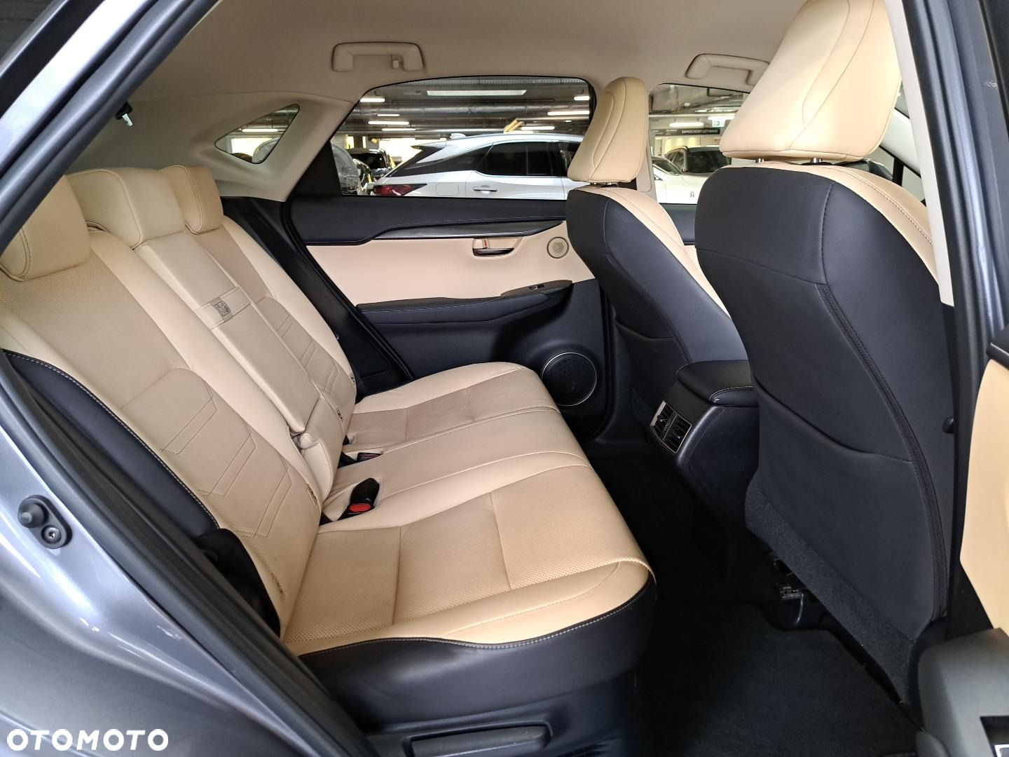 Lexus NX - 13