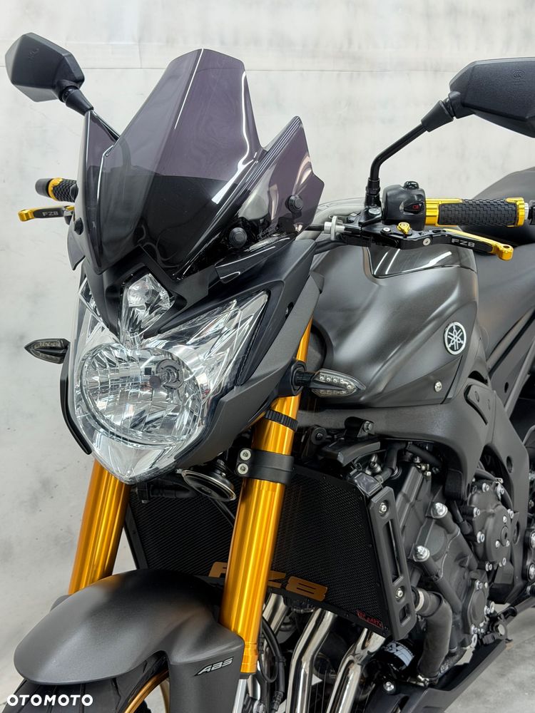Yamaha FZ8 - 19