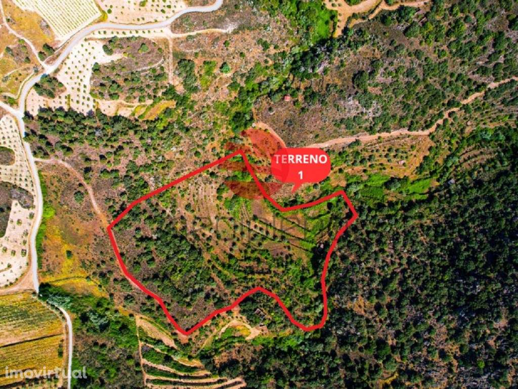 QUINTINHA - Grande imagem: 5/11