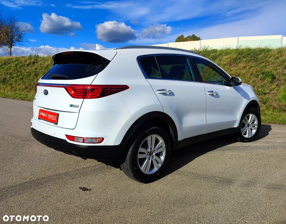 Kia Sportage 1.6 GDI L Business Line 2WD - 16