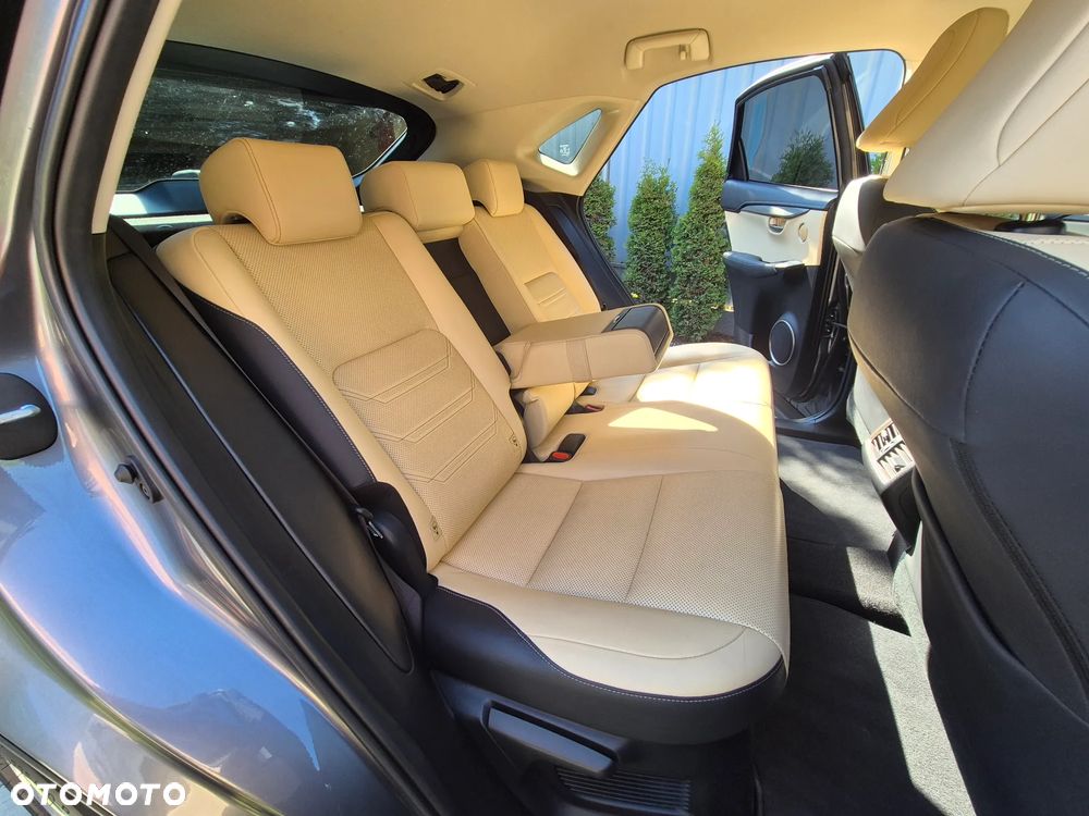 Lexus NX 300h Business Edition AWD - 22