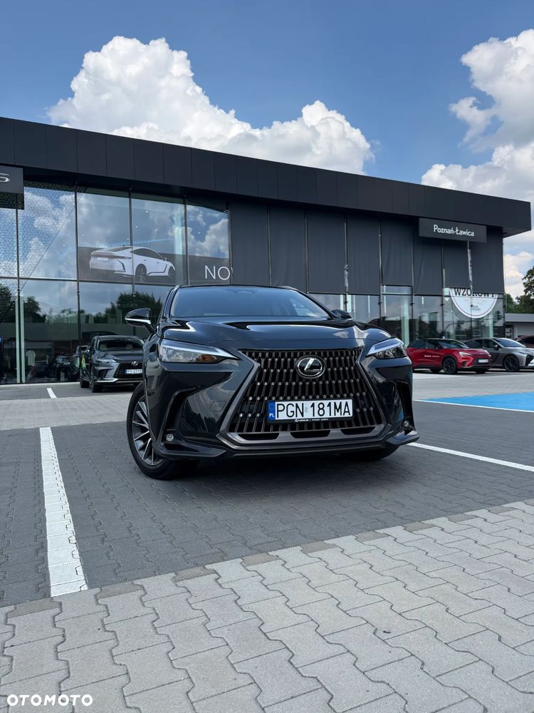 Lexus NX 350h Prestige 2WD - 8
