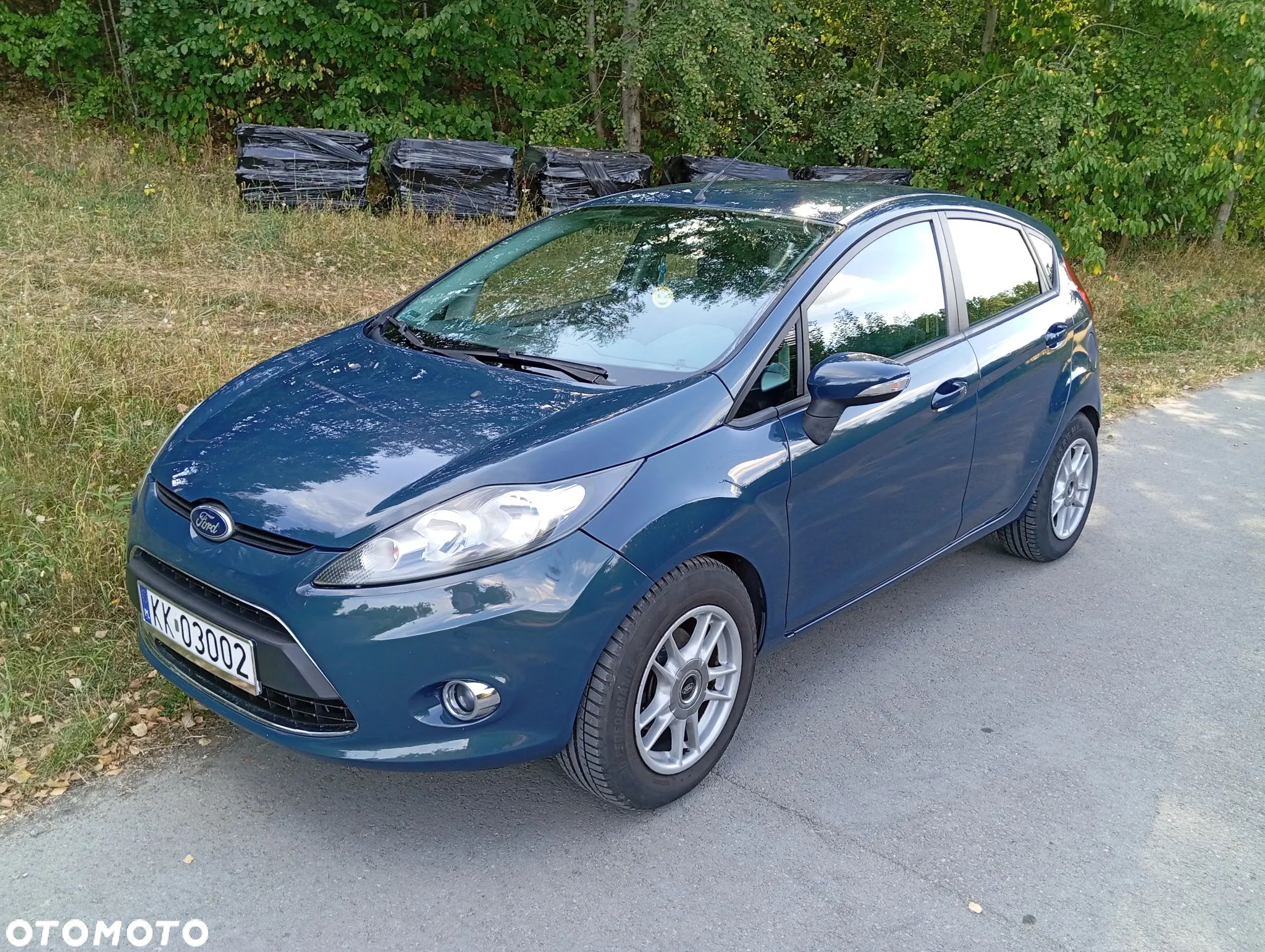 Ford Fiesta - 1