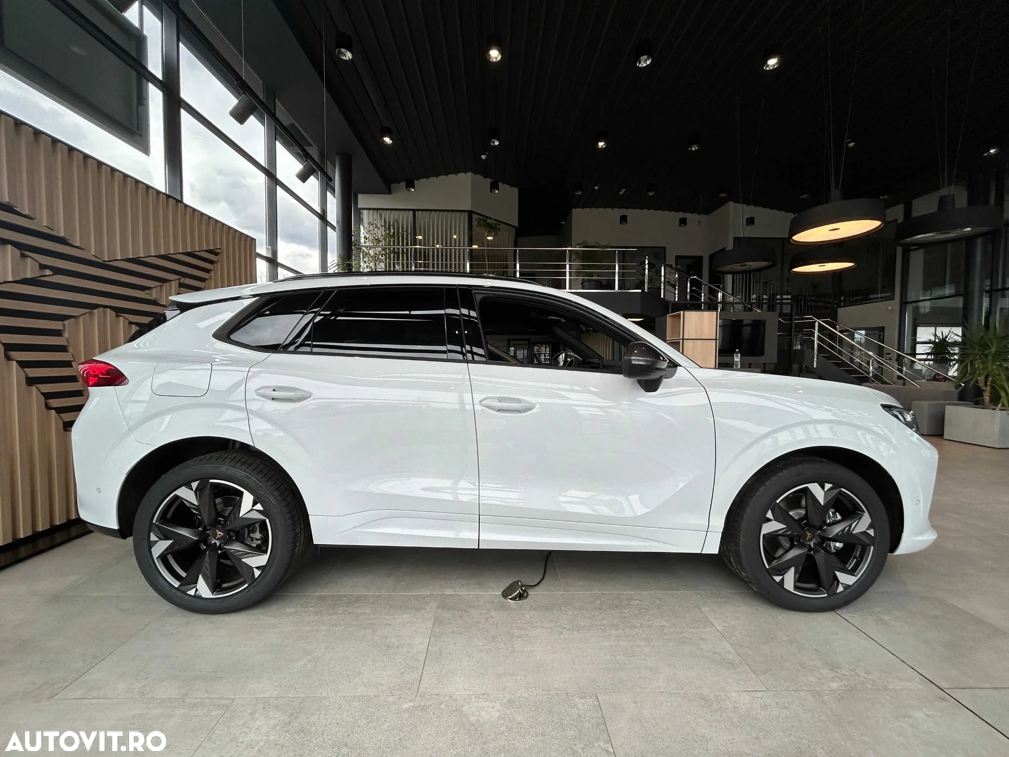 Cupra Terramar - 5