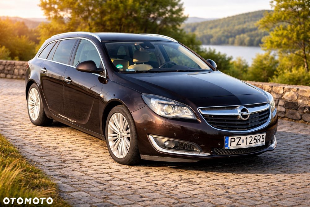 Opel Insignia 2.0 CDTI ecoFLEXStart/Stop - 1