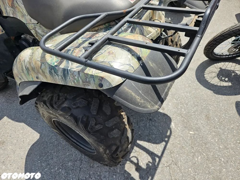 Kawasaki Brute Force - 5