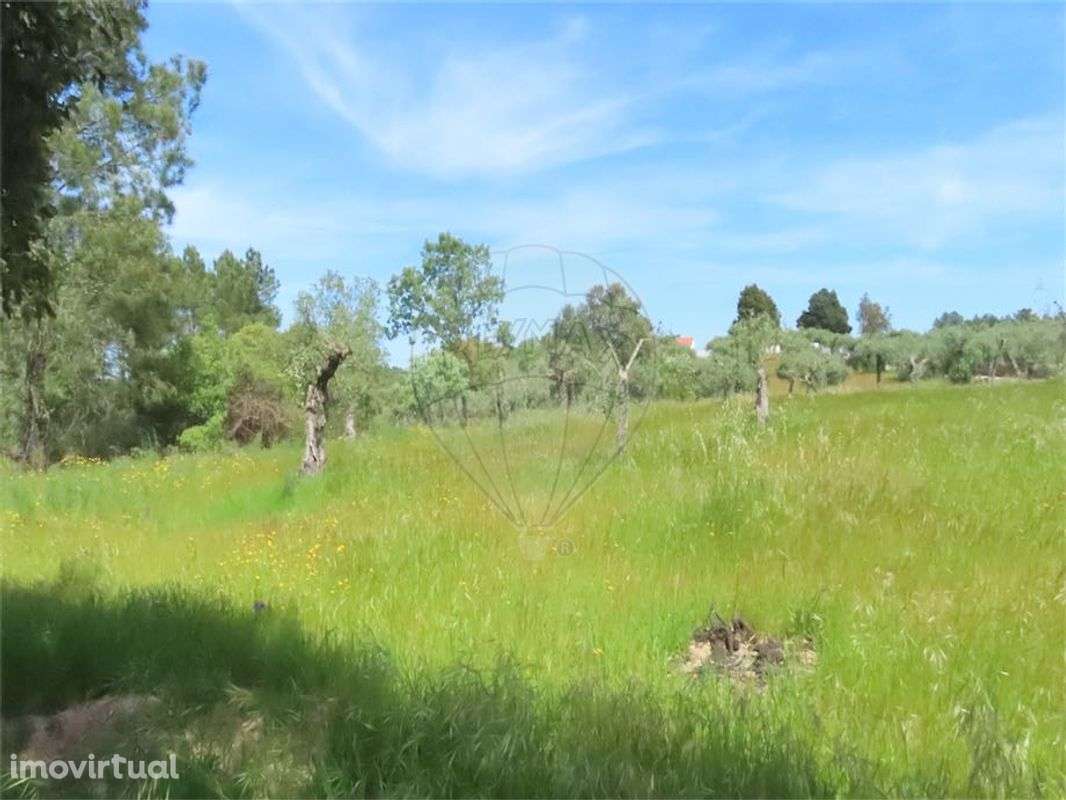 Quinta  para venda - Grande imagem: 4/12