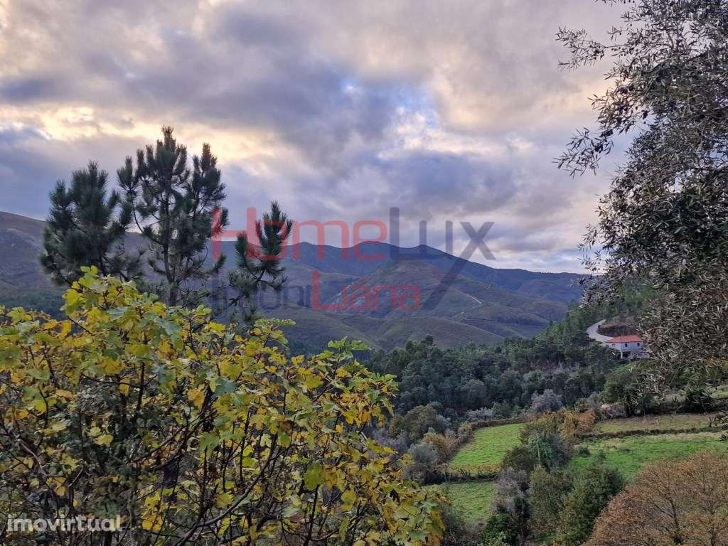 Moradia em xisto para recuperar em Covas do Rio - Grande imagem: 4/26