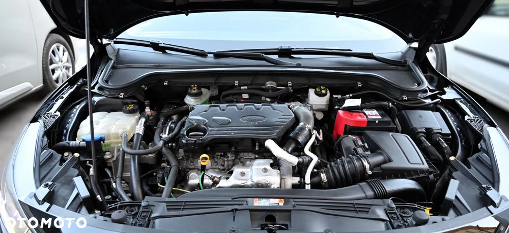 Ford Focus - 33