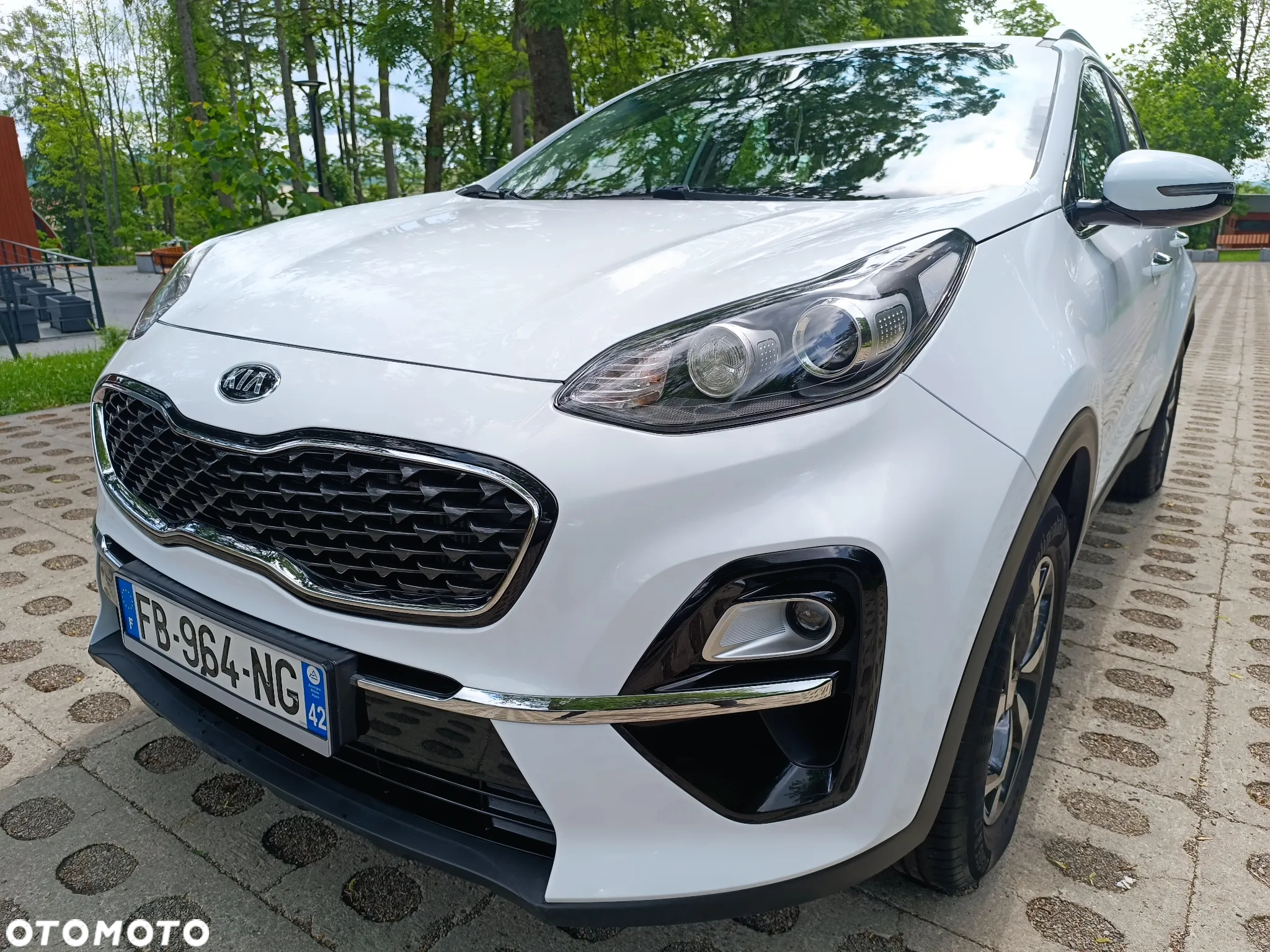 Kia Sportage 1.6 CRDI Black Edition Plus 2WD - 14