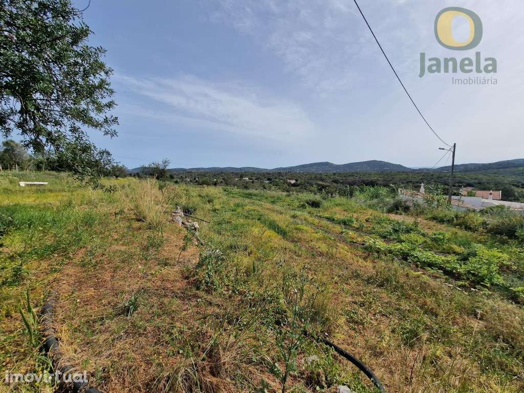 Terreno com viabilidade para Construir 4 moradias - Grande imagem: 4/15