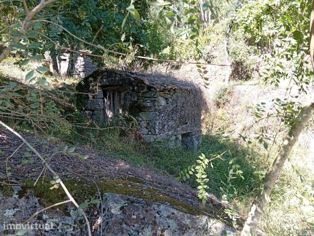 Terreno c/ Moinho - Seramil - Grande imagem: 5/10