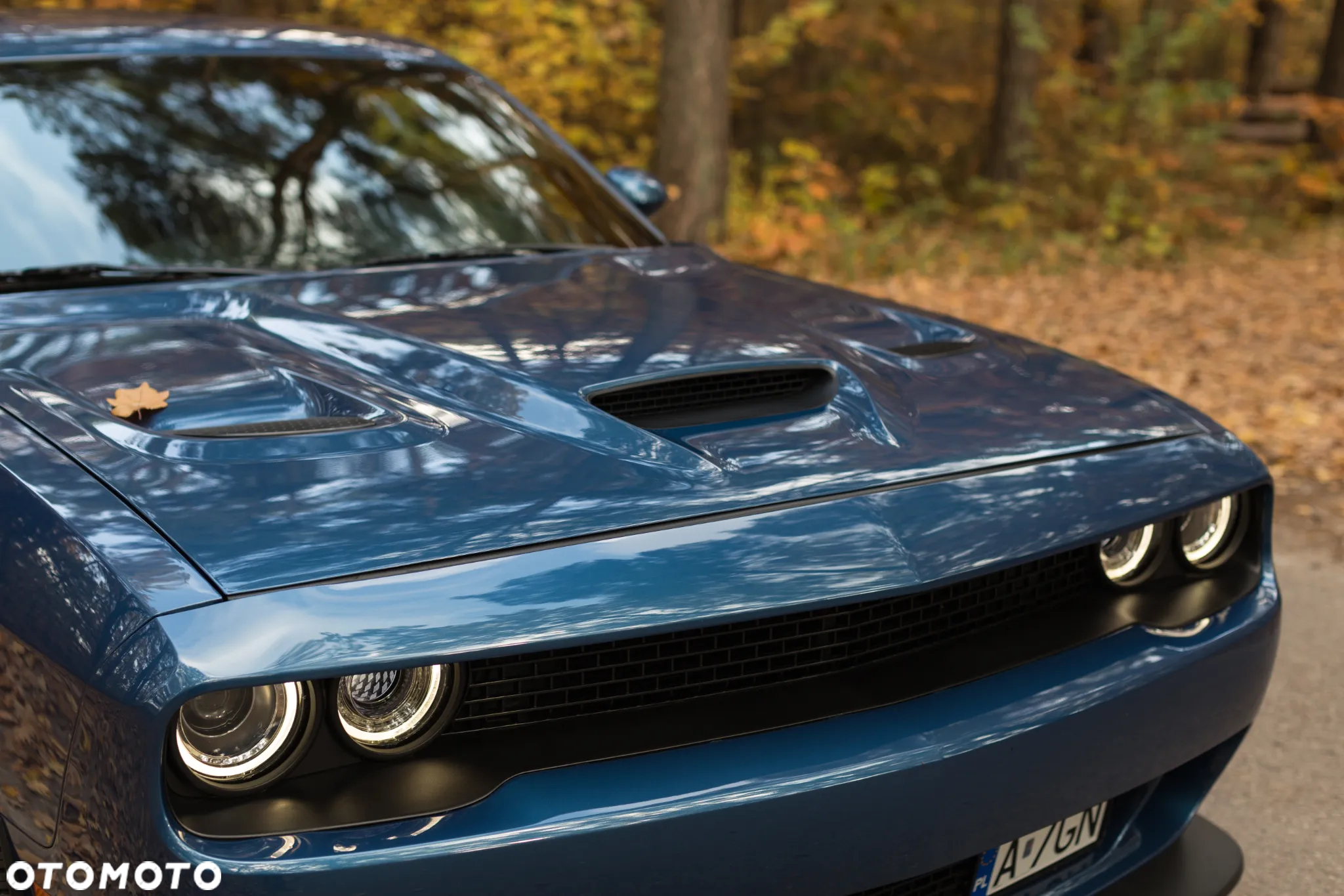 Dodge Challenger - 8