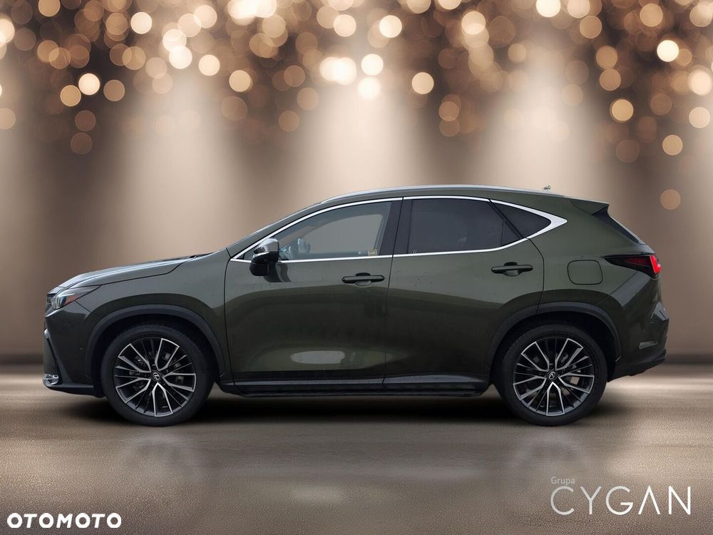 Lexus NX - 4