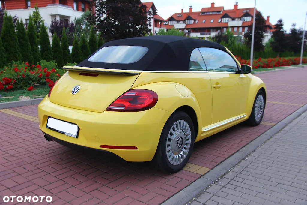 Volkswagen Beetle - 3