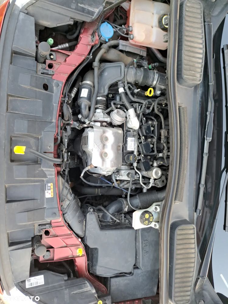 Ford C-MAX 1.0 EcoBoost Titanium ASS - 15