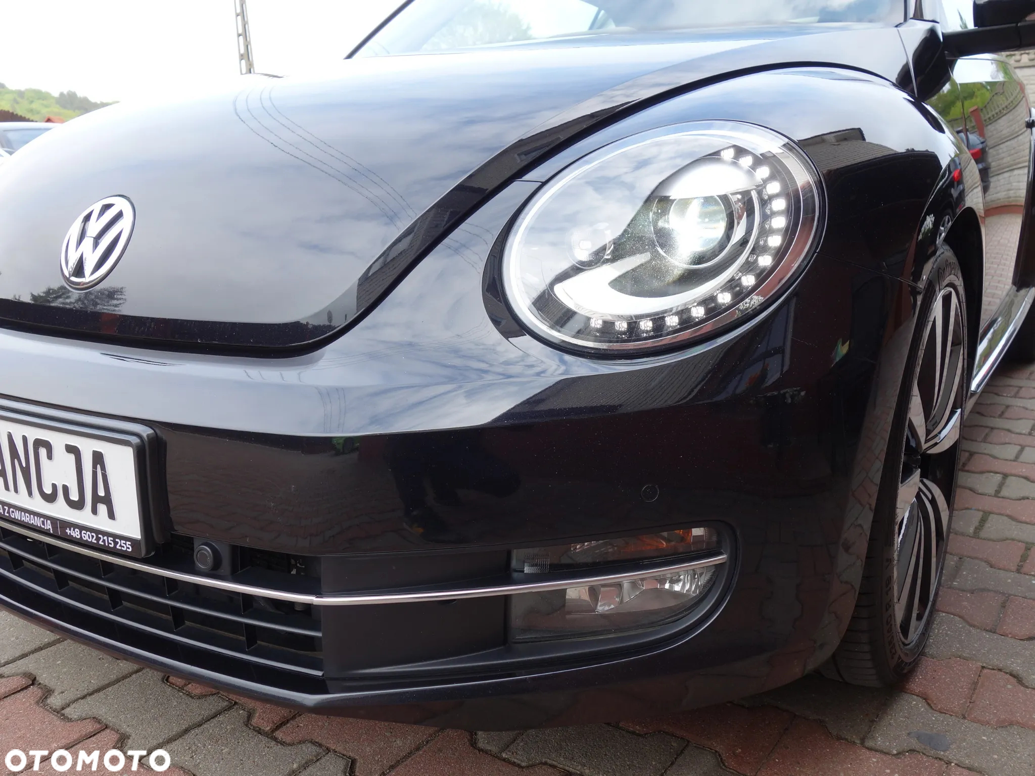 Volkswagen New Beetle - 6