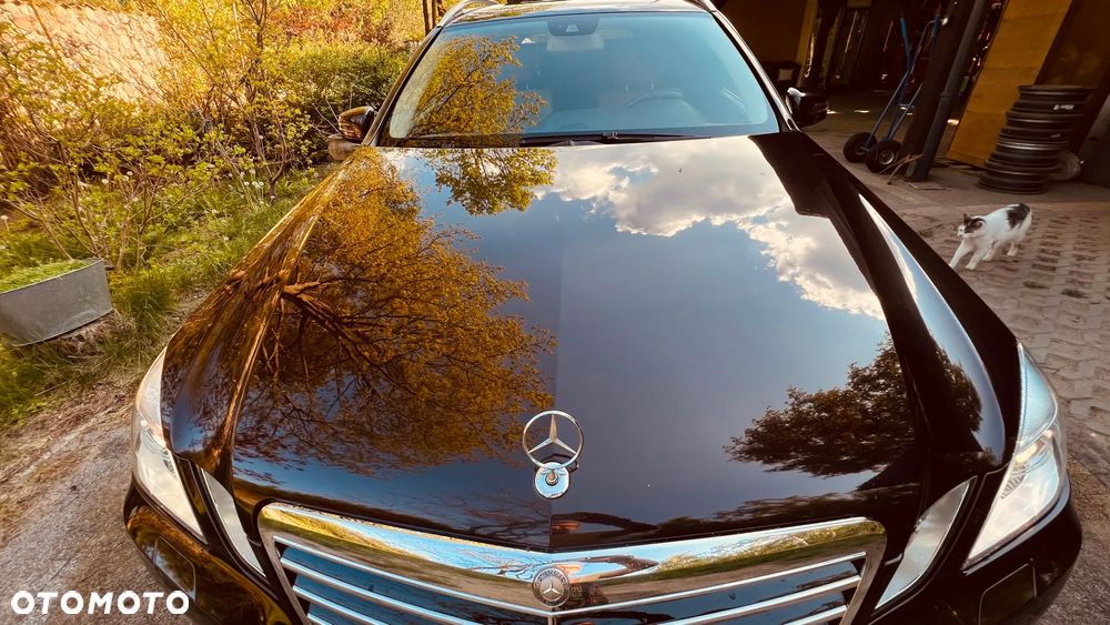 Mercedes-Benz Klasa E 350 CDI BlueEff - 21