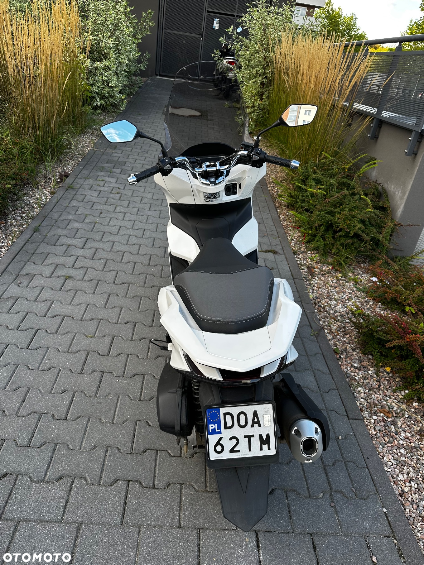 Honda PCX - 6