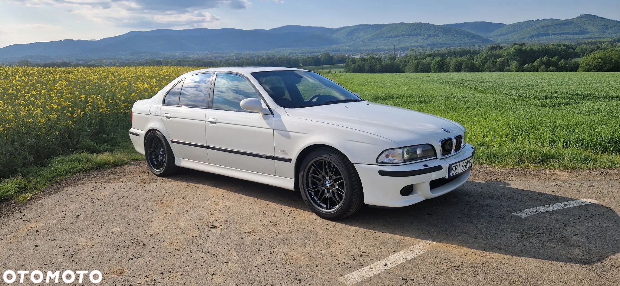 BMW M5 Standard - 1