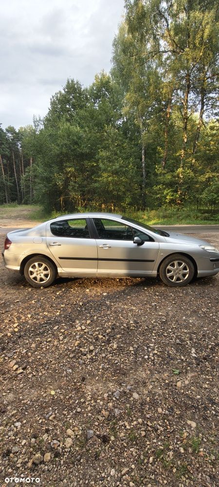 Peugeot 407 - 3