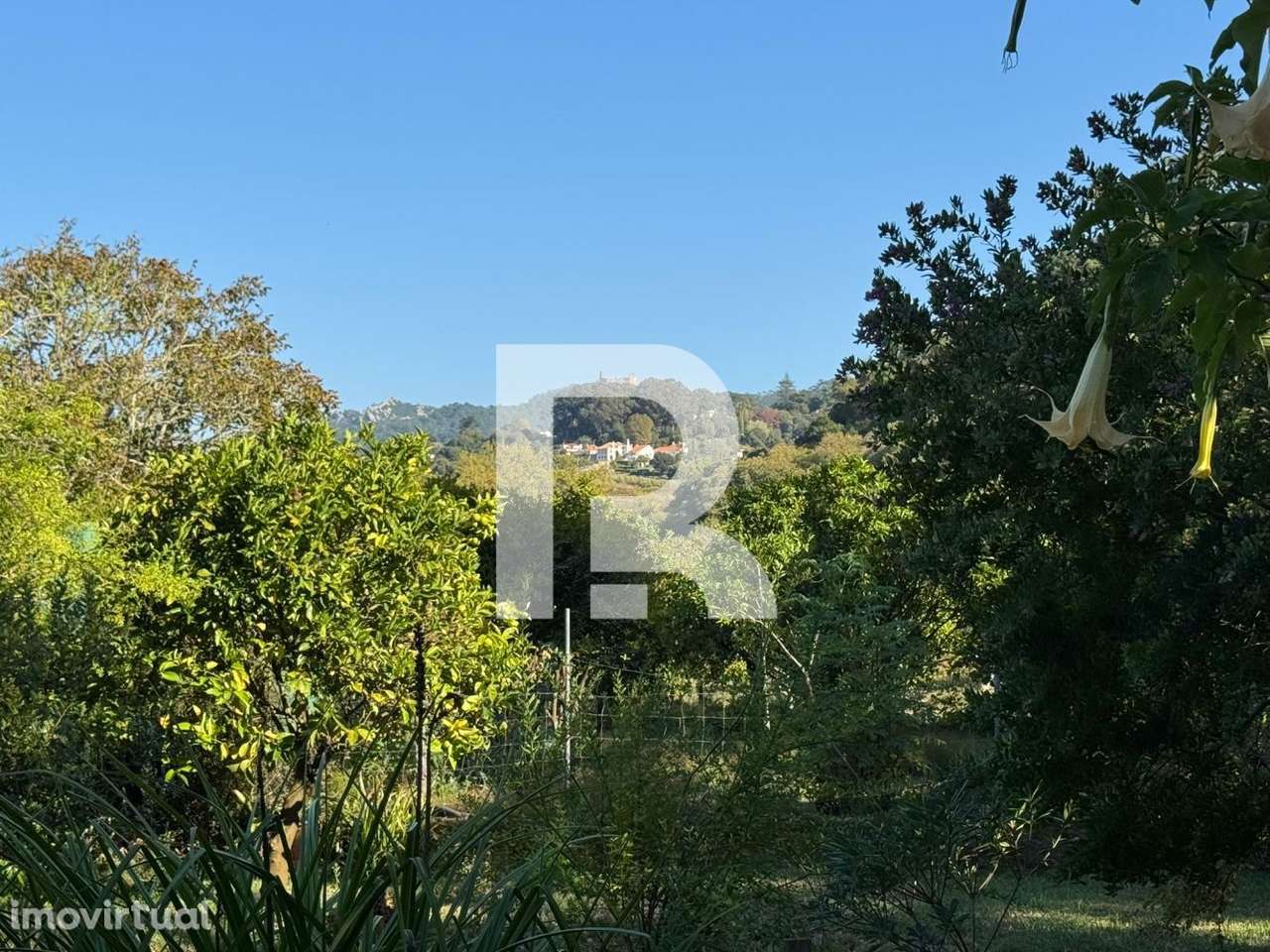 Quinta Rústica em Colares, Sintra - Grande imagem: 2/18