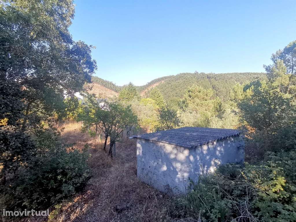 Terreno para construção, Eiras - Grande imagem: 2/3