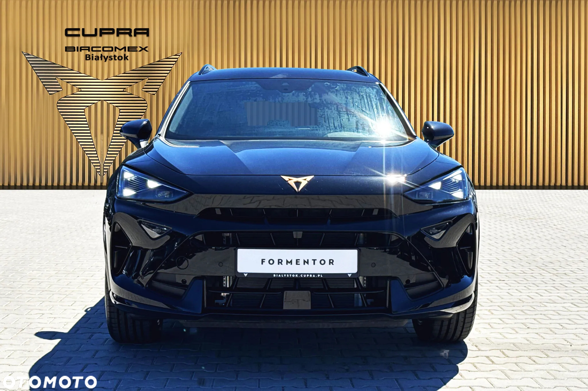 Cupra Formentor 1.5 TSI DSG - 9