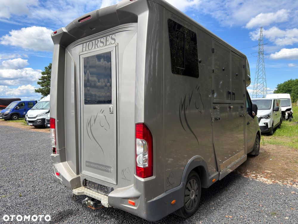 Opel MOVANO Koniowóz - 2