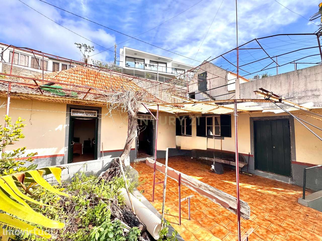 Terreno Amplo com Moradia Tradicional e Palheiro - Ponta do Sol - Grande imagem: 3/19