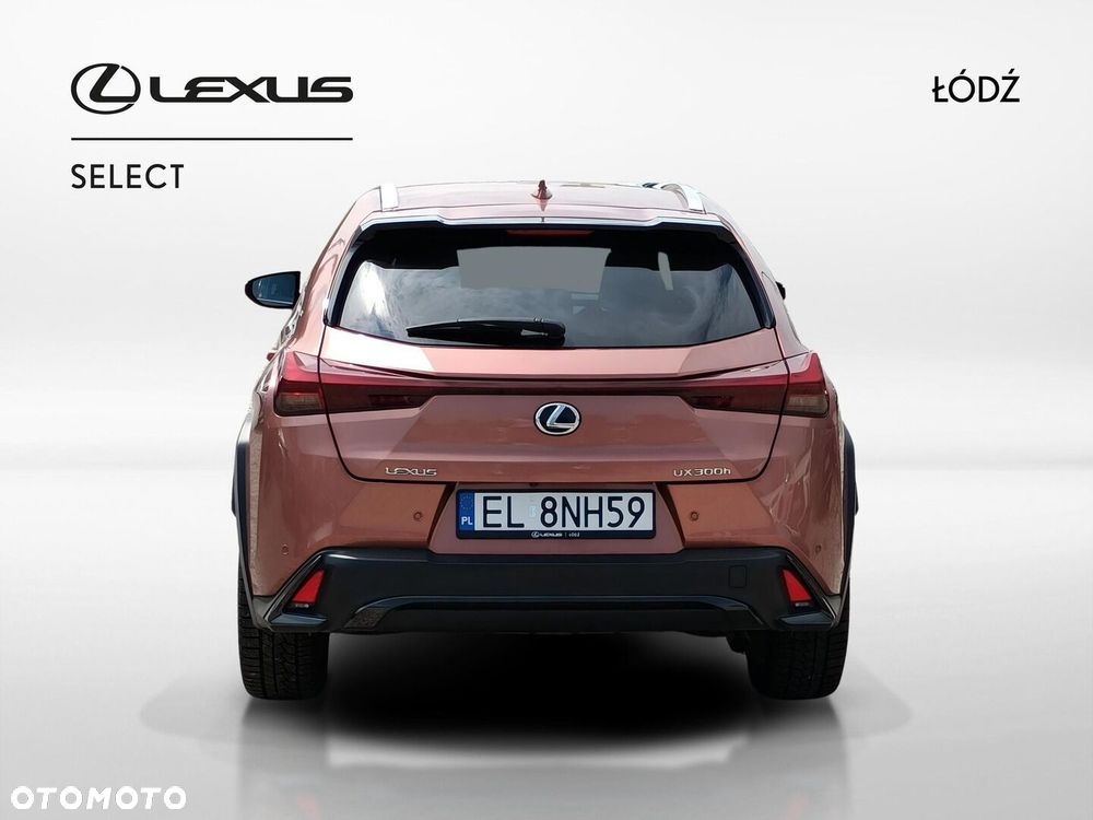Lexus UX 300h F Sport Design - 5